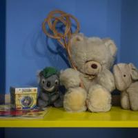 Teddies